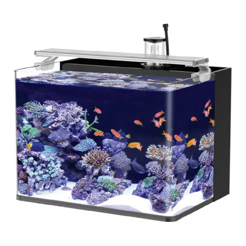 Marine Aquarium With Sump - Table Curved Saltwater Marine Fish Tank