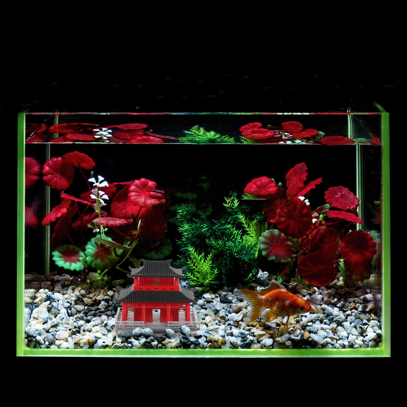 Mini Pavilion Pagoda Chinese A - Aquarium & Marine Museum Universiti Malaysia Sabah Kota Kinabalu Sabah ulasan dan harga