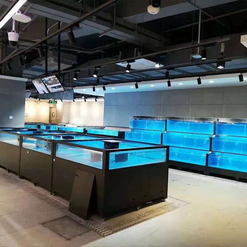 Square Glass Freshwater Fish T - Marine Aquarium With Sump ulasan dan harga
