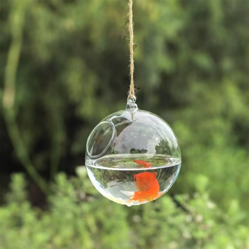 Small Packing Diameter=10cm 12 - Aquarium & Marine Museum Universiti Malaysia Sabah Kota Kinabalu Sabah ulasan dan harga