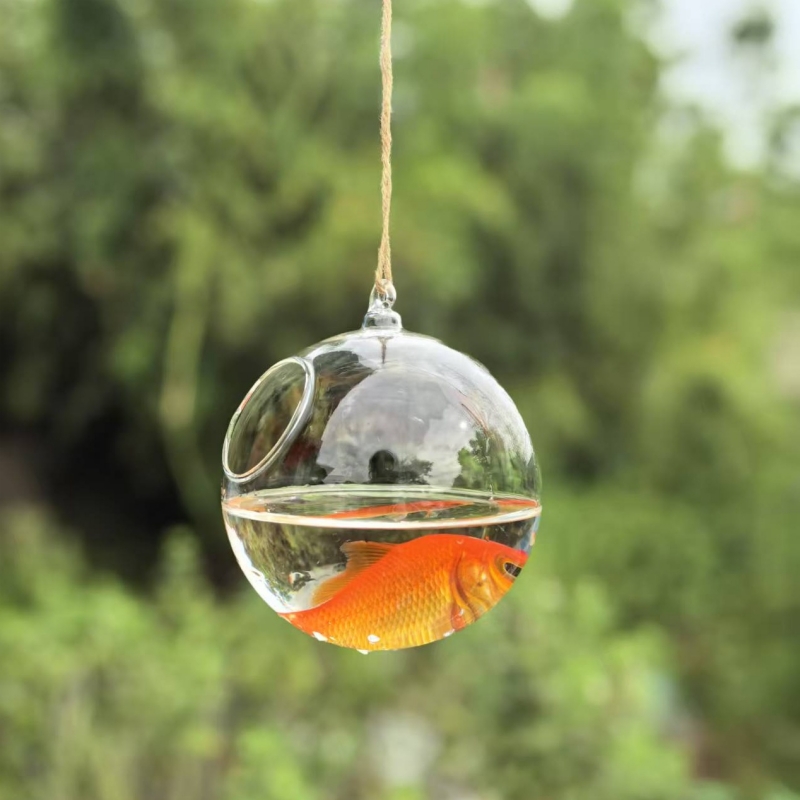 Small Packing Diameter=10cm 12 - Aquarium & Marine Museum Universiti Malaysia Sabah Kota Kinabalu Sabah ulasan dan harga