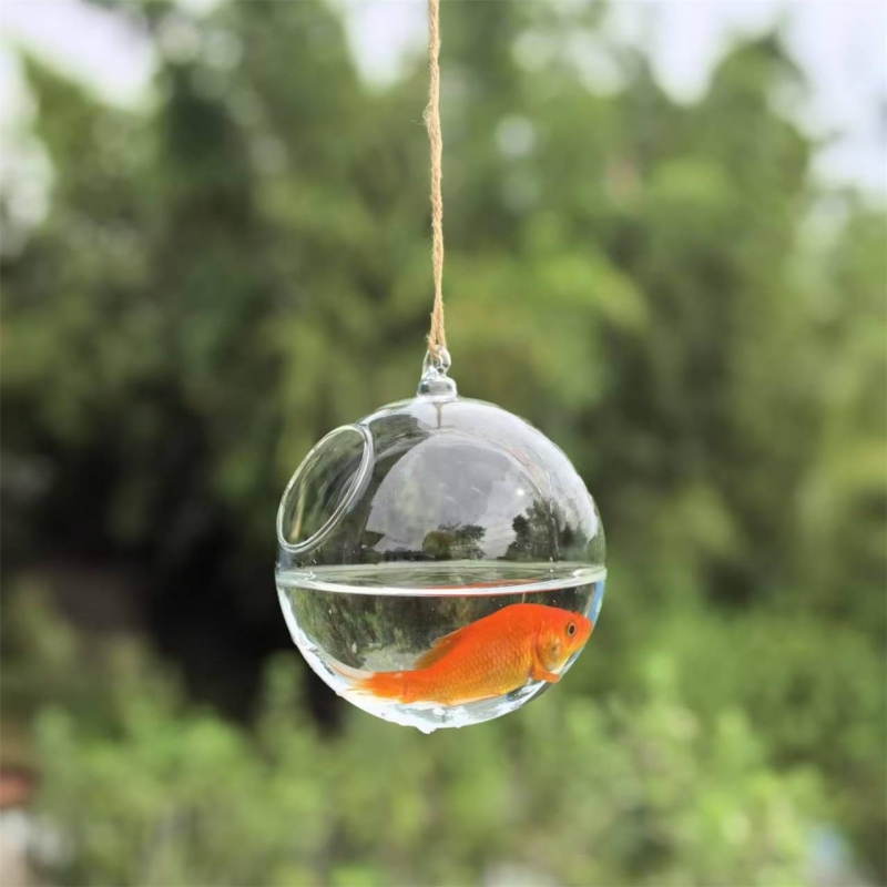 Small Packing Diameter=10cm 12 - Aquarium & Marine Museum Universiti Malaysia Sabah Kota Kinabalu Sabah ulasan dan harga