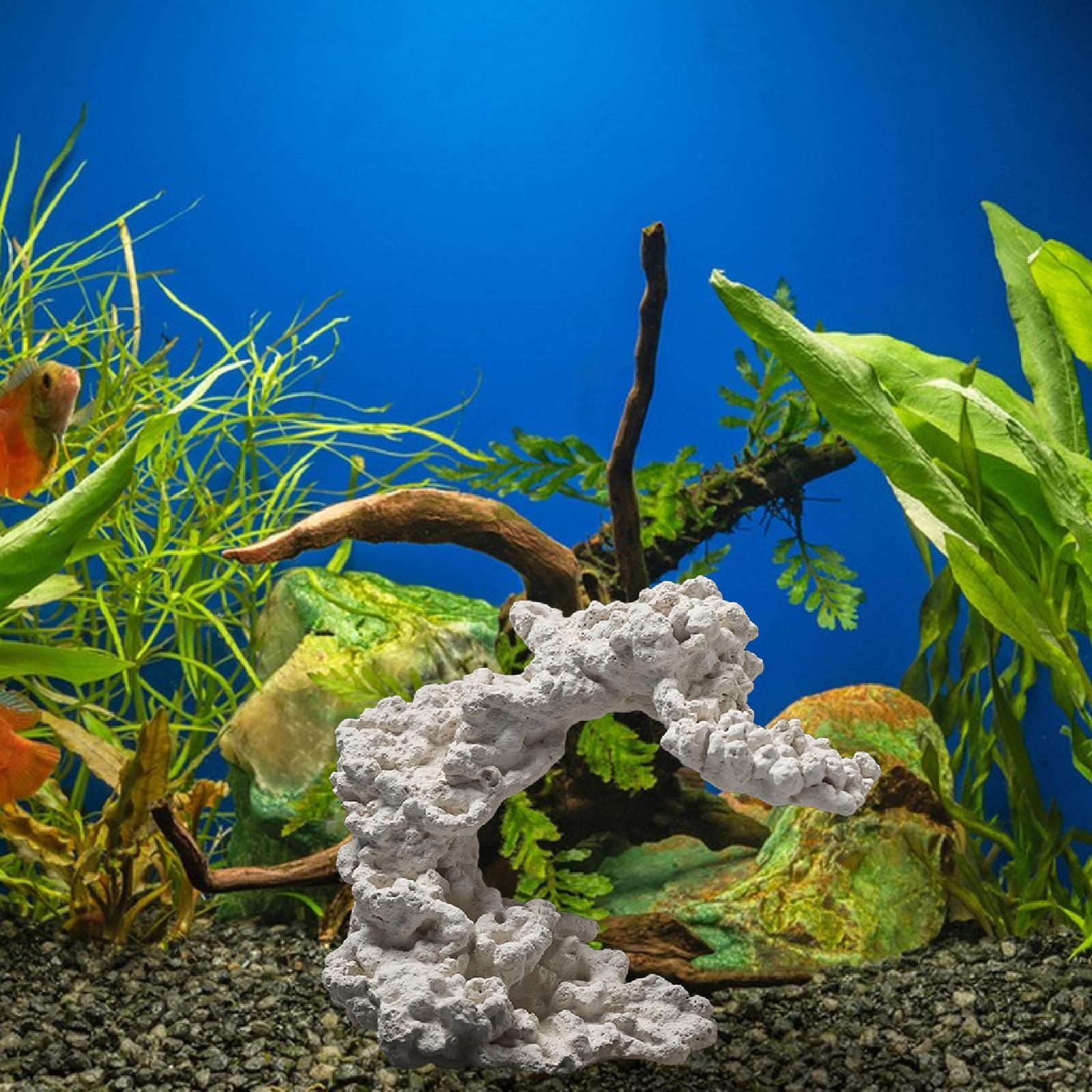 Aquarium Breeding Hideout Orna - Marine Aquarium Aquascape ulasan dan harga