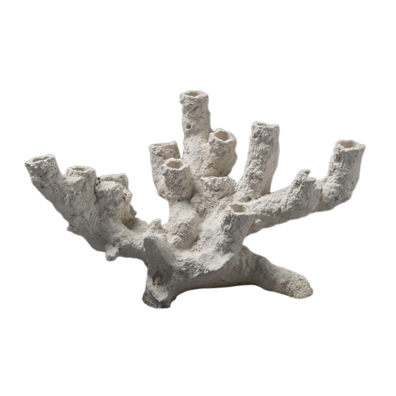 Aquarium Breeding Hideout Orna - Marine Aquarium Aquascape ulasan dan harga