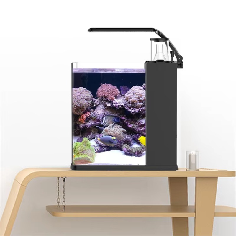 Table Curved Saltwater Marine  - Marine Aquarium With Sump ulasan dan harga