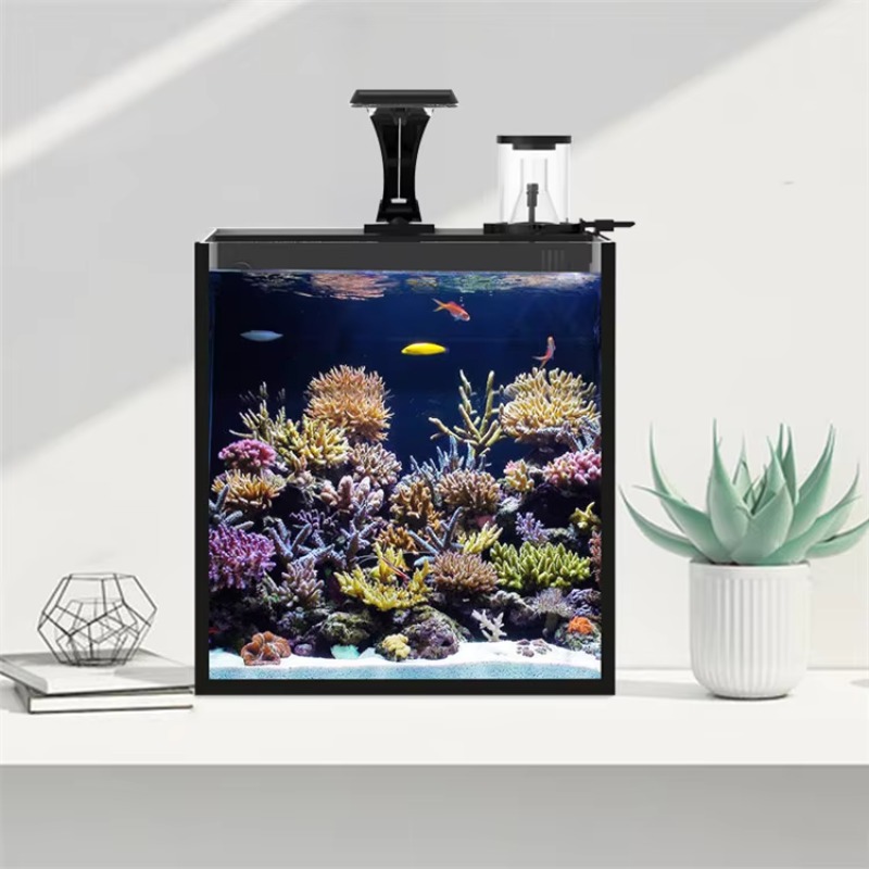 Table Curved Saltwater Marine  - Marine Aquarium With Sump ulasan dan harga